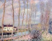 Alfred Sisley Loing Kanal oil